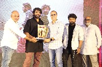Naa Saami Ranga Movie Success Celebrations Photos